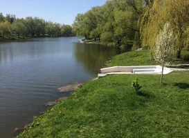 Screenshot_281.webp Screenshot_281.webp