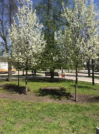 Screenshot_283.webp Screenshot_283.webp