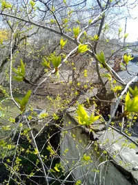 IMG_20170429_154755.webp IMG_20170429_154755.webp