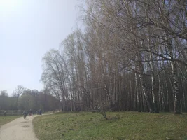 IMG_20170430_112213.webp IMG_20170430_112213.webp