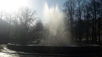 image.webp image.webp