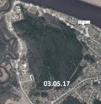 3 мая бег.webp