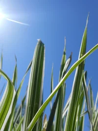 upload_2017-5-6_0-47-12.webp upload_2017-5-6_0-47-12.webp