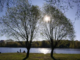 IMG_20170507_072914.webp IMG_20170507_072914.webp