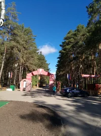 1494137559743.webp 1494137559743.webp