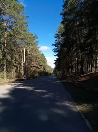 1494137738472.webp 1494137738472.webp