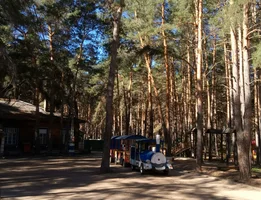 1494138389085(1).webp 1494138389085(1).webp