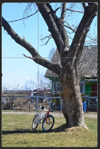 11223.webp 11223.webp