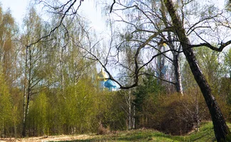 без имени-955599.webp