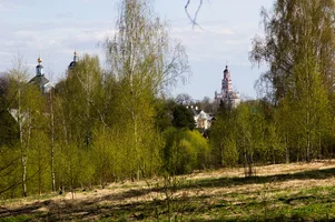 без имени-955600.webp