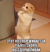 IMG_1872.webp IMG_1872.webp