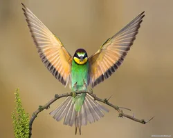 1259333677_49ac69218e8af.webp 1259333677_49ac69218e8af.webp