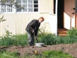 Здесь будет город_сад (2) (800x600).webp