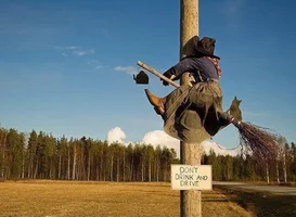 IMG_0778.webp IMG_0778.webp