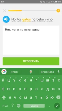 Screenshot_2017-06-03-08-38-08-496_com.duolingo.webp