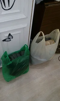 IMG_20170605_013533.webp IMG_20170605_013533.webp