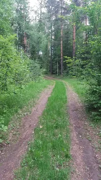 2017-06-08 20-04-35.webp