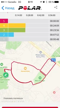 Бег 13 июня 2017 -1.webp