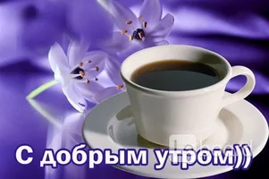 1d50c9ac381426585720240e6be3.webp 1d50c9ac381426585720240e6be3.webp