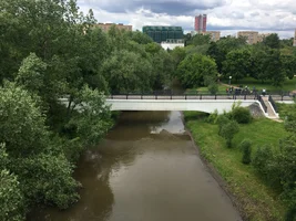 IMG_1321.webp IMG_1321.webp