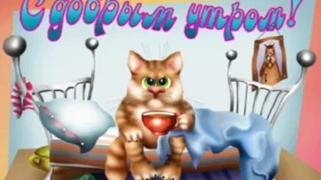 gifki-s-dobrym-utrom-m-428x241.webp