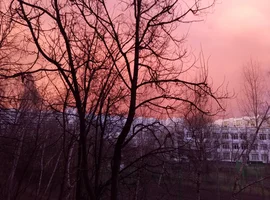 2017-04-24 19-52-15.webp 2017-04-24 19-52-15.webp