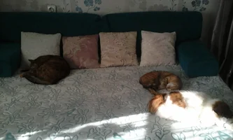 20170627_171319.webp 20170627_171319.webp