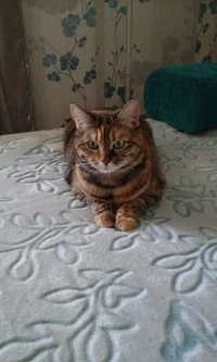 20170314_121539.webp 20170314_121539.webp