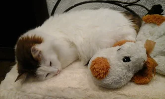 20170512_112907.webp 20170512_112907.webp