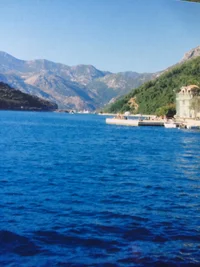 IMG_3068.webp IMG_3068.webp