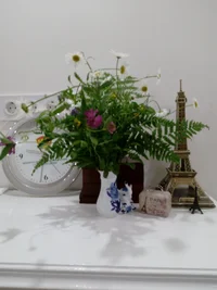 IMG-e499a6f30a3ab007394099a08c6e9289-V.webp IMG-e499a6f30a3ab007394099a08c6e9289-V.webp