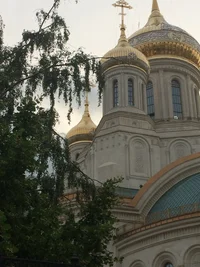 IMG_3151.webp IMG_3151.webp