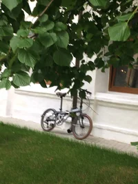 IMG_3148.webp IMG_3148.webp