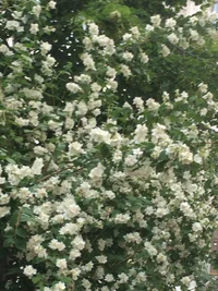 IMG_3150.webp IMG_3150.webp