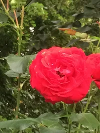 IMG_3155.webp IMG_3155.webp