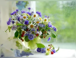 IMG_0669.webp IMG_0669.webp