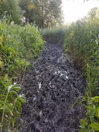 IMG_4055.webp IMG_4055.webp