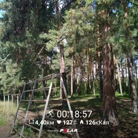 PolarFlow_20170725_190431.webp PolarFlow_20170725_190431.webp