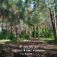 PolarFlow_20170725_190513.webp PolarFlow_20170725_190513.webp