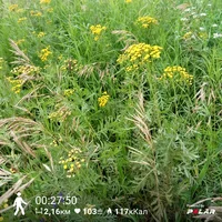 PolarFlow_20170808_100023.webp PolarFlow_20170808_100023.webp