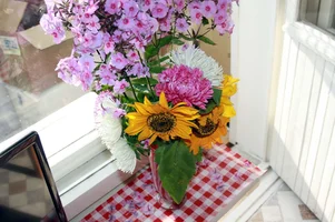 IMG_0010.webp IMG_0010.webp