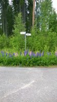 WP_20170628_11_03_53_Pro.jpg