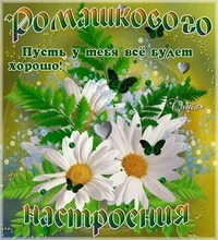 u6Pw4POzHKU.webp