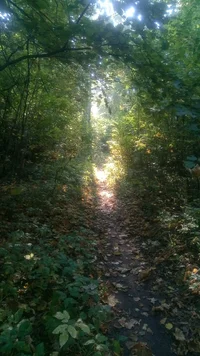 P70923-090335.webp P70923-090335.webp