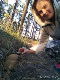 IMG_20170922_172802.webp IMG_20170922_172802.webp