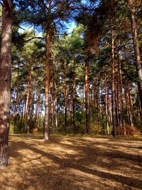 IMG_20171009_125207.webp IMG_20171009_125207.webp