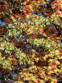 IMG_20171011_140821.webp IMG_20171011_140821.webp