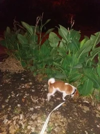 20171012_185544.webp 20171012_185544.webp