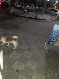 20171012_191050.webp 20171012_191050.webp