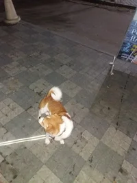 20171012_191112.webp 20171012_191112.webp